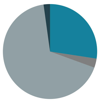 pie-chart---final