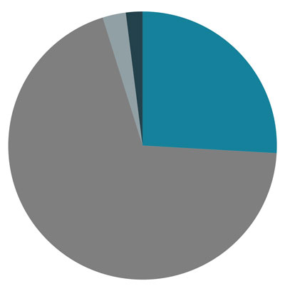 Pie Chart Final